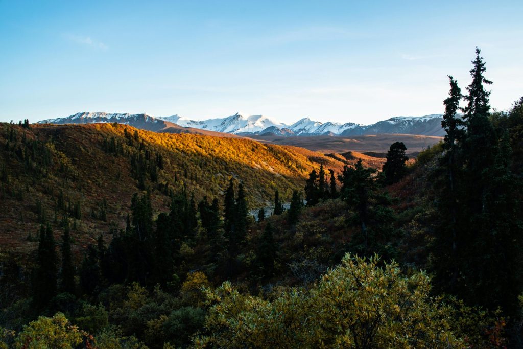Yukon – Yukon Community Program