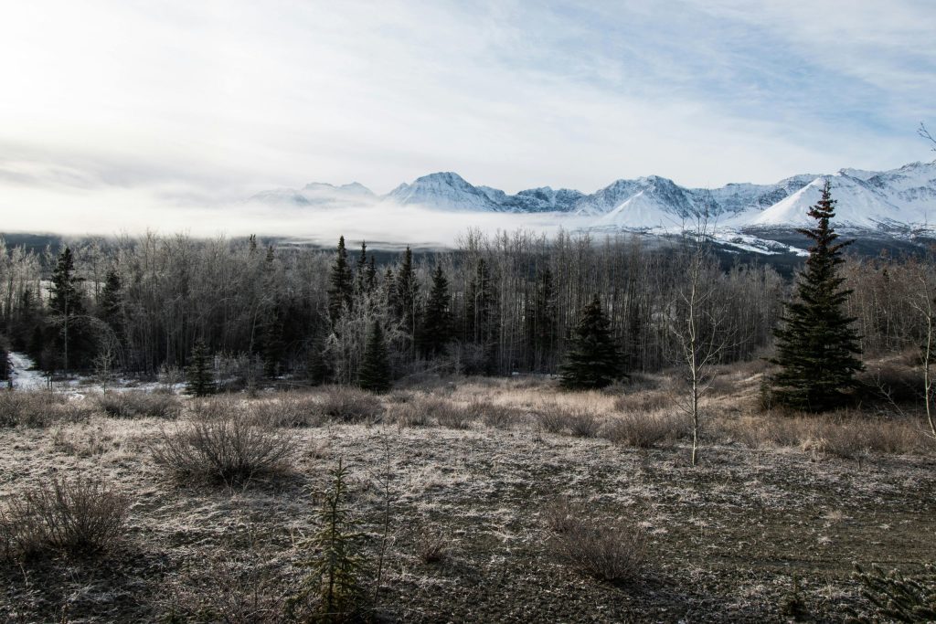 Yukon – Business Nominee
