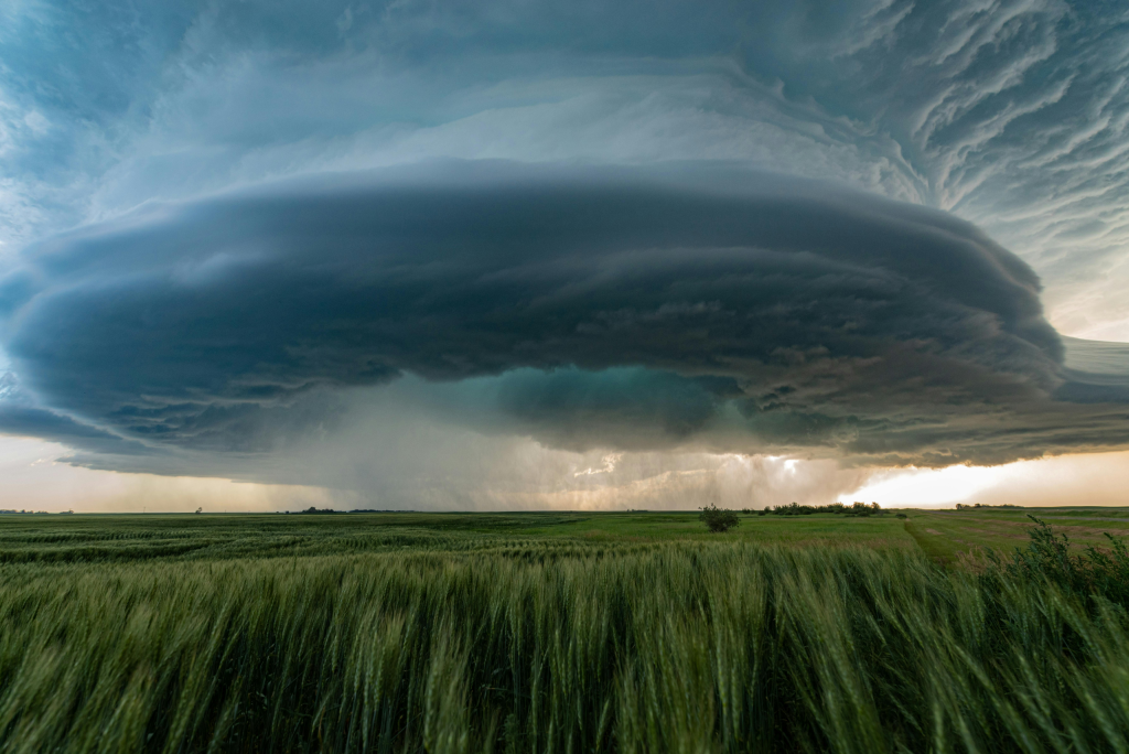 Saskatchewan – Tech Talent Pathway