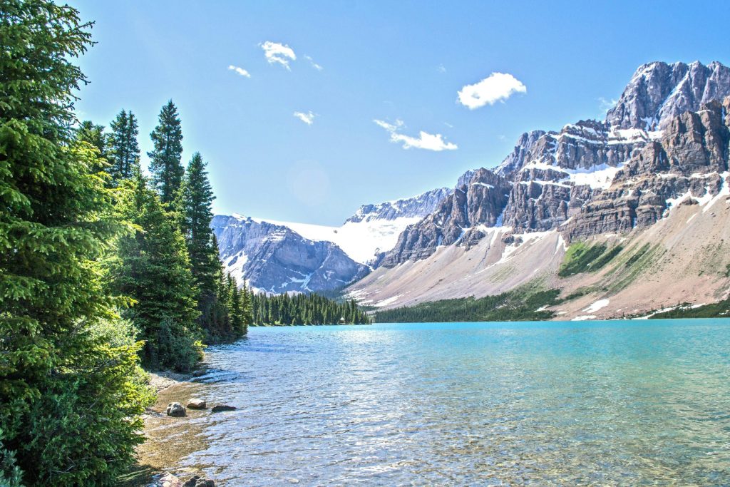 Alberta – Accelerated Tech Pathway