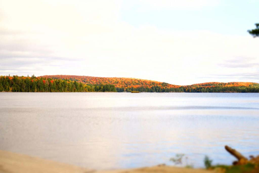 Ontario – Entrepreneur