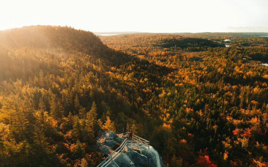 Nova Scotia – Labour Market Priorities